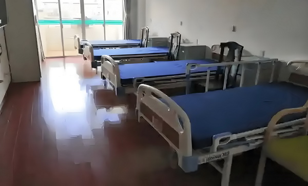 西西的乐园